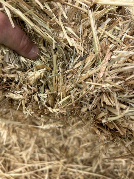 600mt Wheaten Hay 8x4x3 Bales