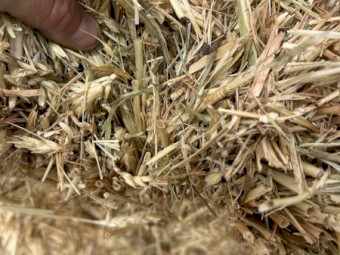 600mt Wheaten Hay 8x4x3 Bales