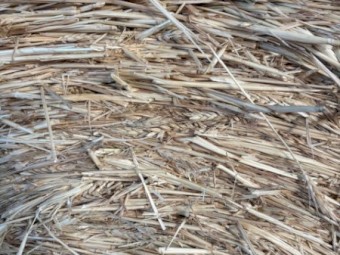 420 x Wheaten Hay 500kg 5x4 Bales