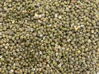 3mt Mung Bean Seed