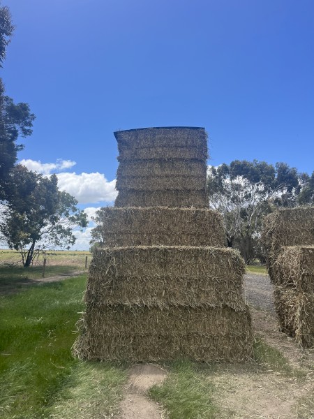 Wheaten Hay 8x4x3 Bales