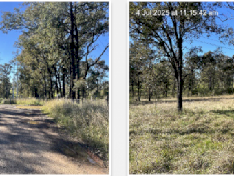 Land Available for Beekeeper Use – EOI for Beekeeping Licence (20ha, Rouse Hill NSW)