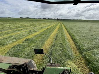 Round Baled Silage