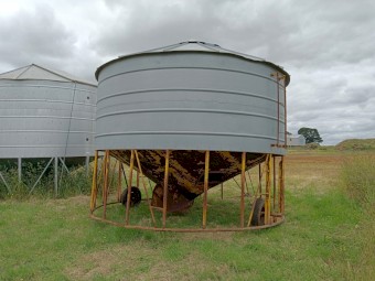 Ackland Field Bin