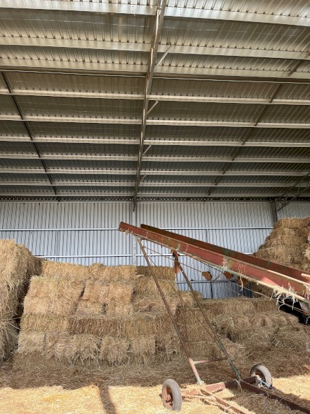 Oaten Hay Small Square Bales (1,200 available)