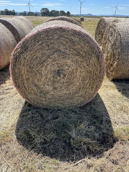 Lucerne Hay 5x4 Round Bales
