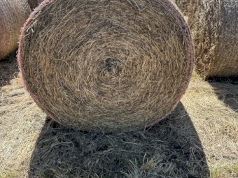 Lucerne Hay 5x4 Round Bales