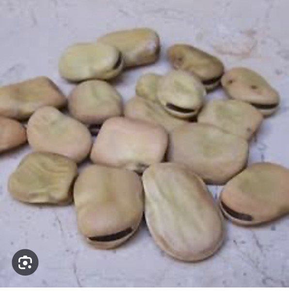 EOI Beans with high vetch count