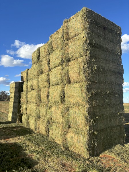 200mt Vetch Hay 750kg 8x4x3 Bales