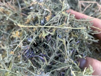 200mt Vetch Hay 750kg 8x4x3 Bales