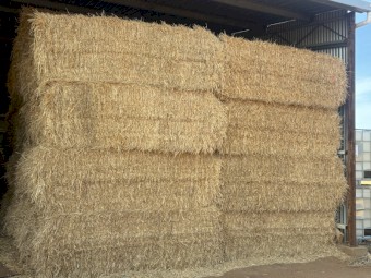75mt Barley Straw 8x4x3 Bales