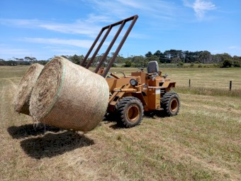 36 x Oaten Rye Round Rolls