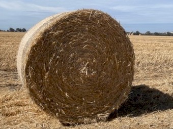 Wheat Straw Header Tailings 5x4 Round Rolls