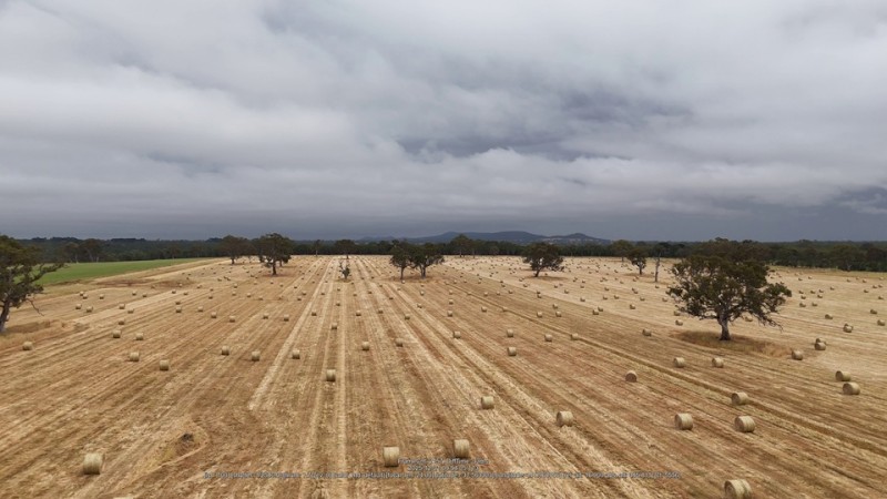 300 x Oaten / Rye Hay 5x4 Round Bales