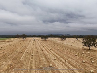 300 x Oaten / Rye Hay 5x4 Round Bales