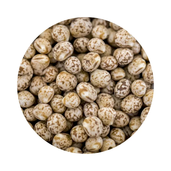 WANTED 5mt Lupins