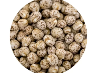 WANTED 5mt Lupins