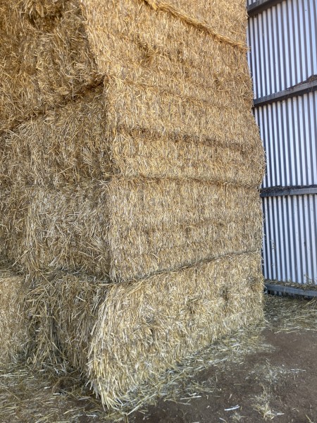 280 x Wheaten Straw 8x4x3 Bales