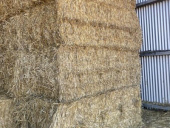 280 x Wheaten Straw 8x4x3 Bales