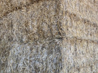 280 x Wheaten Straw 8x4x3 Bales