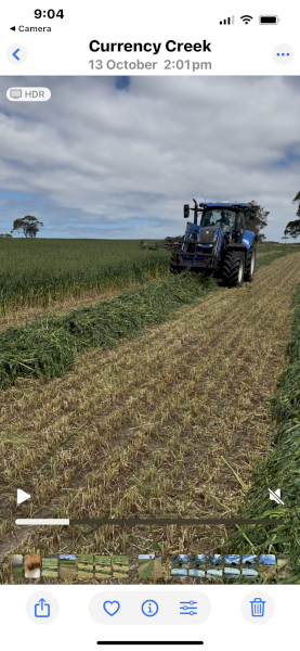 Oaten Hay 5X4 Rolls