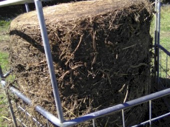 42 x Soybean Silage 4x4 Rolls (21.7% Protein)