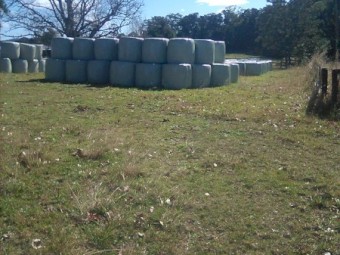 Improved Pasture & Herbs Silage 4x4 Rolls x 161