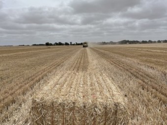 Barley Straw 575kg 8x4x3 Bales
