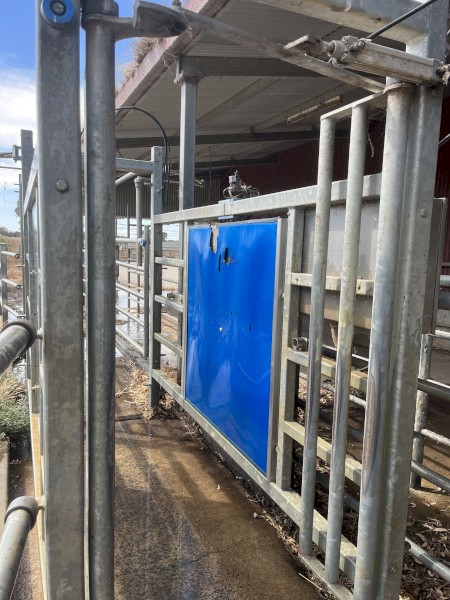 Complete 30 a side Swing Over Dairy with Draft Gate & Vat