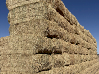 260MT Oaten Hay 8x4x3 Bales