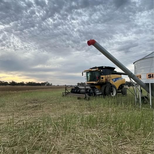 WANTED Lease or Share Farm Land Raywood.