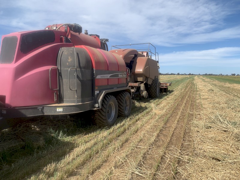 PRICE DROP Dewpoint 6110 Hay Steamer