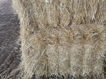 500 m/t Header Trailed Wheaten Straw