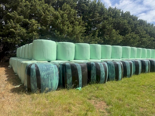  Pasture Silage Round Bales