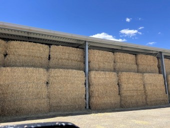  150 Wheaten Hay 650kg 8x4x3 Bales