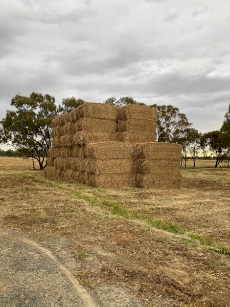 181 x Pasture Hay 560-570kg 8x4x3 Bales