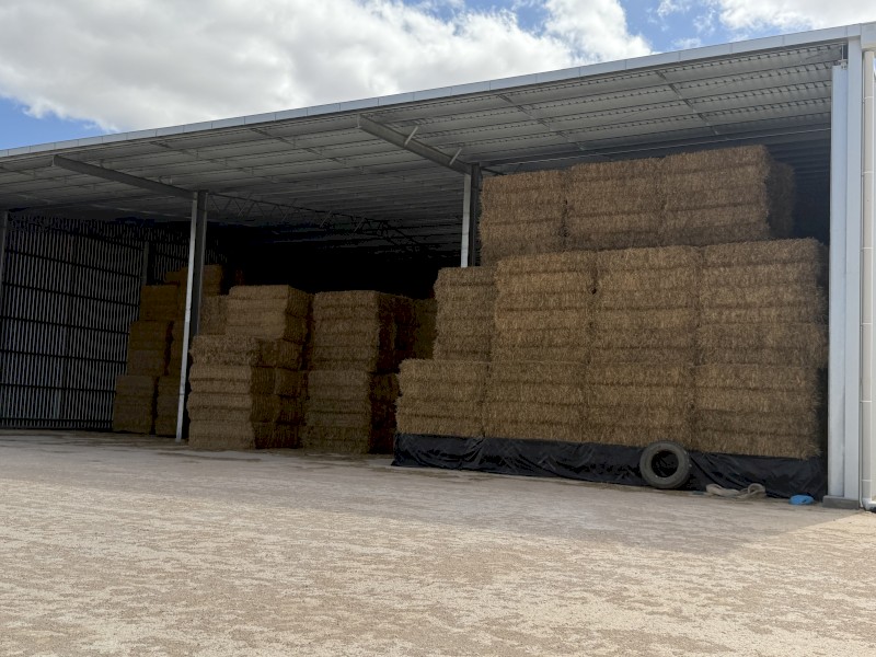 200mt Oaten Hay 650-690kg 8x4x3 Bales