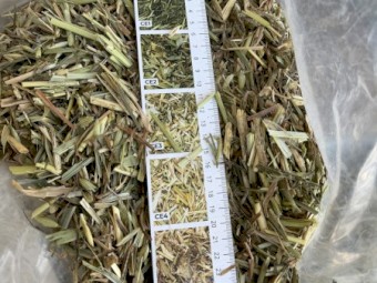 200mt Oaten Hay 650-690kg 8x4x3 Bales