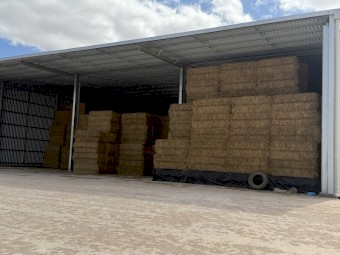 200mt Oaten Hay 650-690kg 8x4x3 Bales