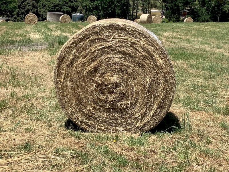 Clover and Ryegrass Hay 5x4 Round Bales
