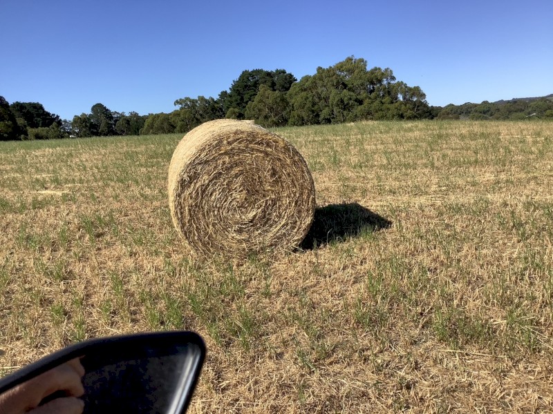 75 x Clover and Ryegrass Hay 4x4 Rolls