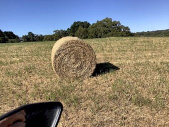 75 x Clover and Ryegrass Hay 4x4 Rolls