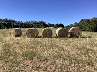 75 x Clover and Ryegrass Hay 4x4 Rolls