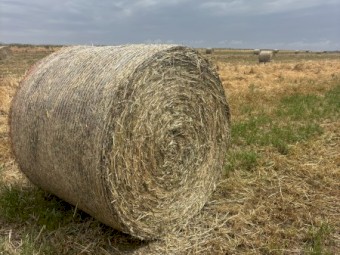 Ryegrass and Clover Hay 5x4 Rolls