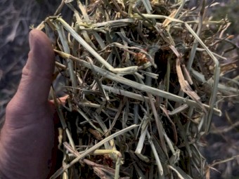 Ryegrass and Clover Hay 5x4 Rolls