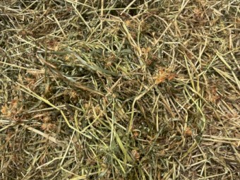 Ryegrass and Clover Hay 5x4 Rolls