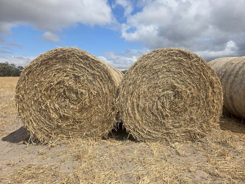 Oaten Hay
