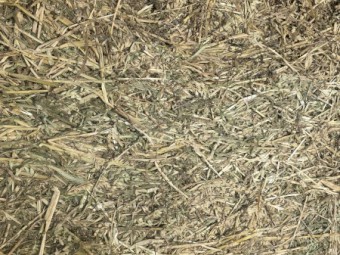 Oaten Hay