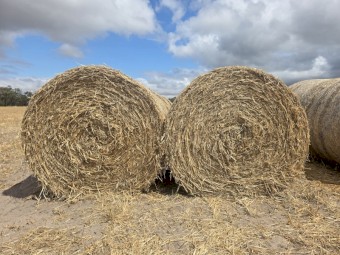 Oaten Hay