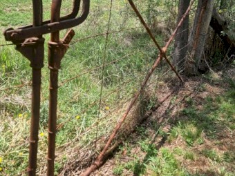 RARE SUNSHINE McKAY PAIR GATES CENTRE-LOCKING ANTIQUE STEEL FARM GATES (MATCHED PAIR)